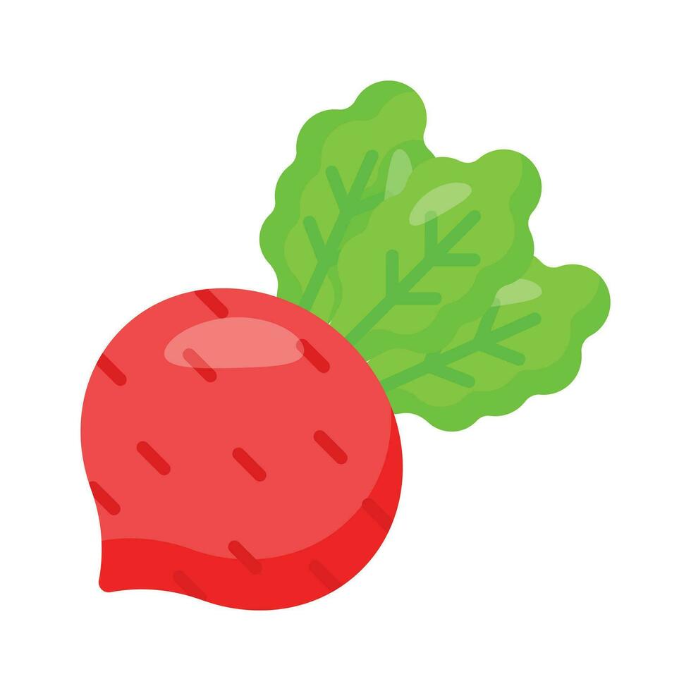 Beautifully designed icon of beetroot, healthy root vegetable vector