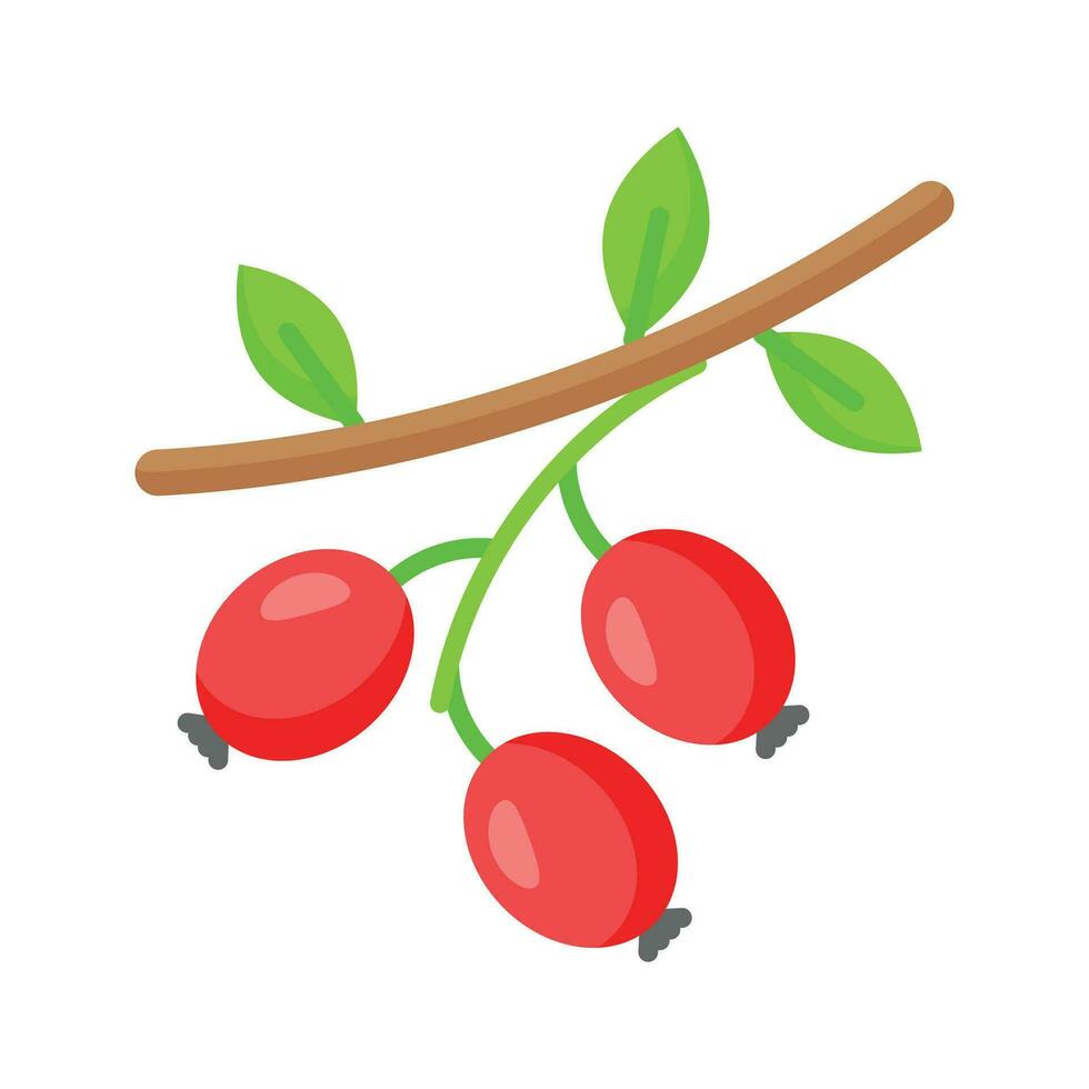 Beautiful and amazing icon of hawthorn in trendy style vector
