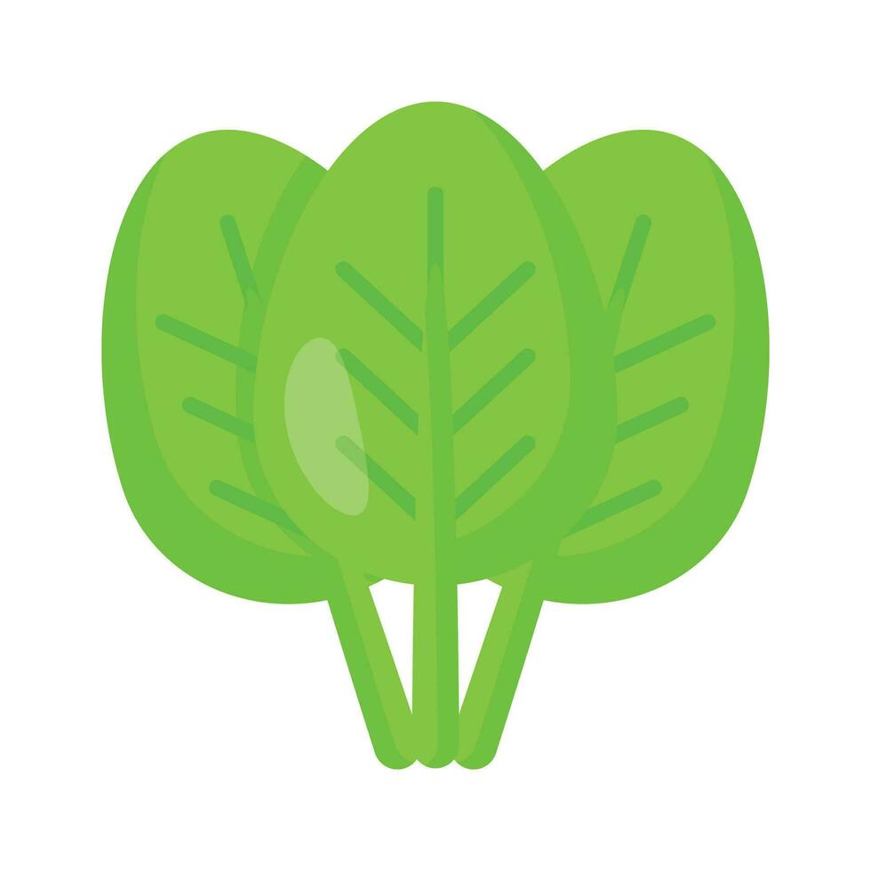 Carefully crafted spinach vector design, ready to use vector