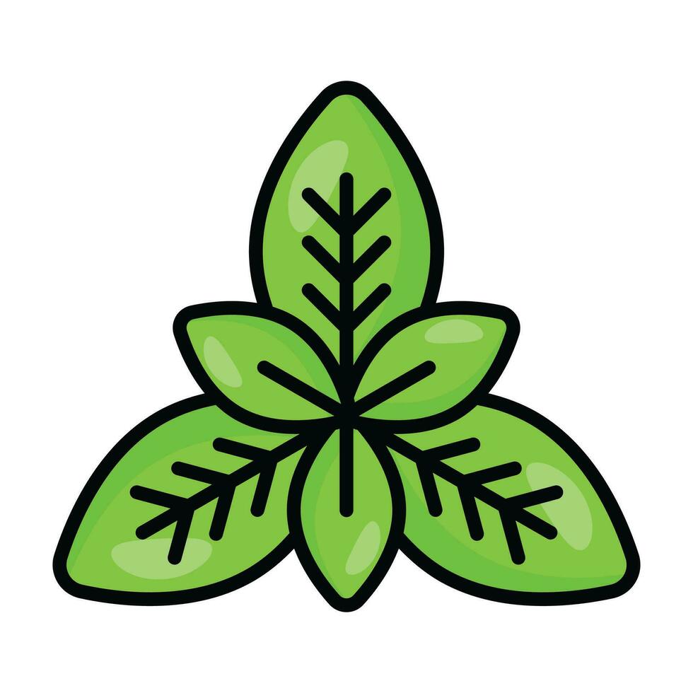 Fresh basil leaves vector design, isolated on white background
