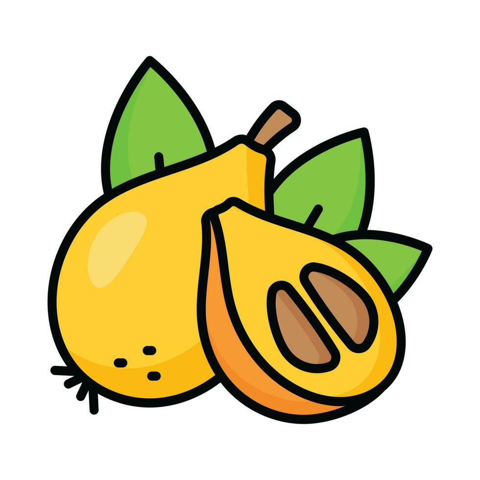 Loquat whole fruit and half sliced isolated on white background vector