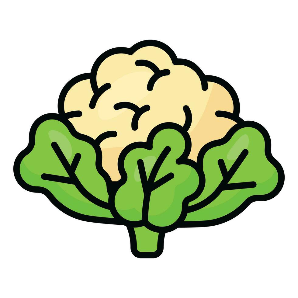 Fresh cauliflower with green leaves, healthy and organic food vector