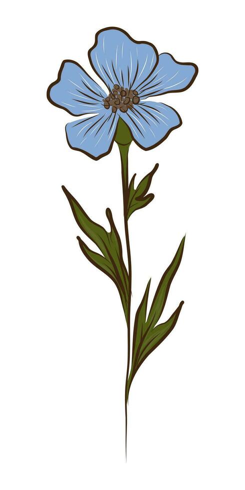 LIGHT BLUE FLAX IN VECTOR