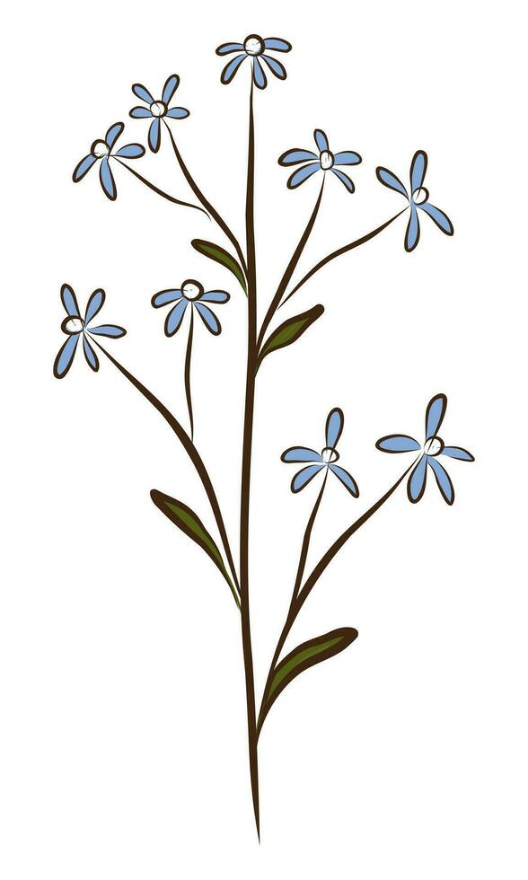 BLUE FORGET-ME-NOT IN VECTOR