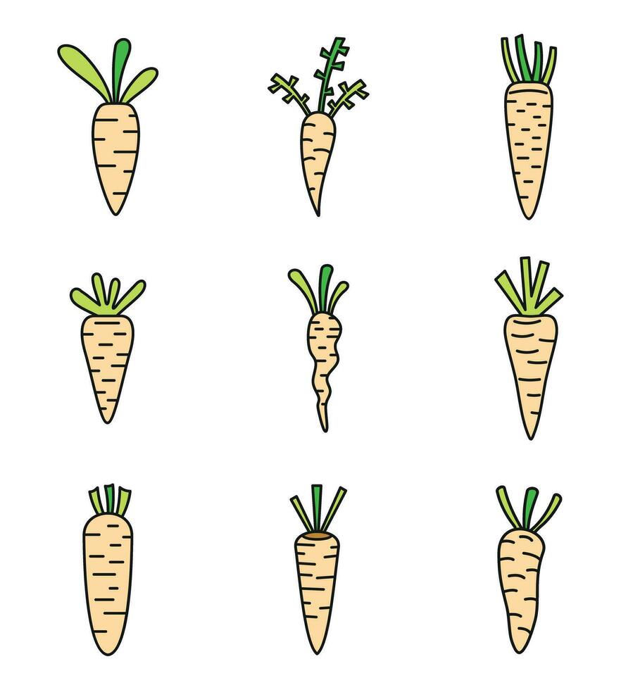 Food carrot icons set vector color