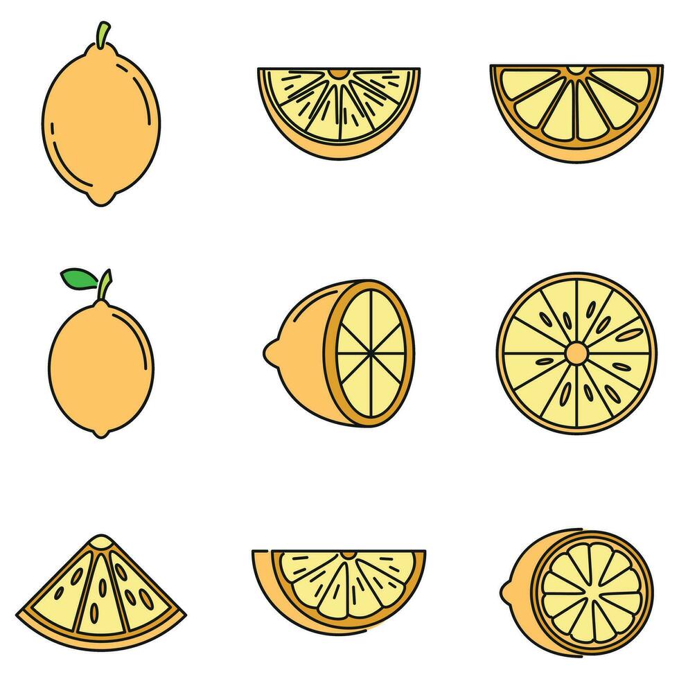 Tropical lime icons set vector color