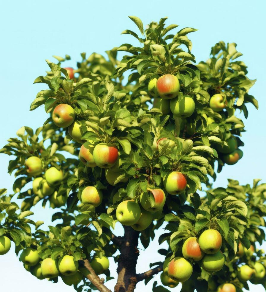 AI generated A beautiful green apple tree. AI Generated photo