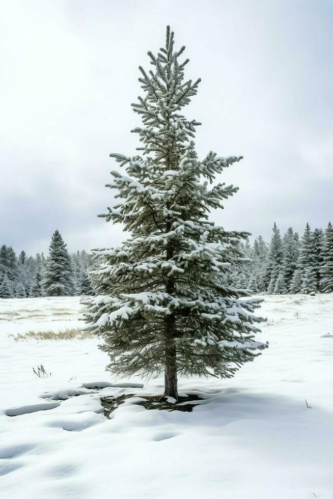 Pine trees or decorated christmas tree covered by snow on beautiful winter. Christmas theme outdoors by AI Generated photo