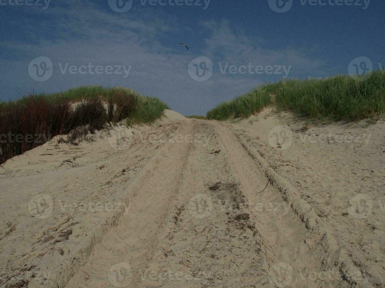 langeoog island in germany photo