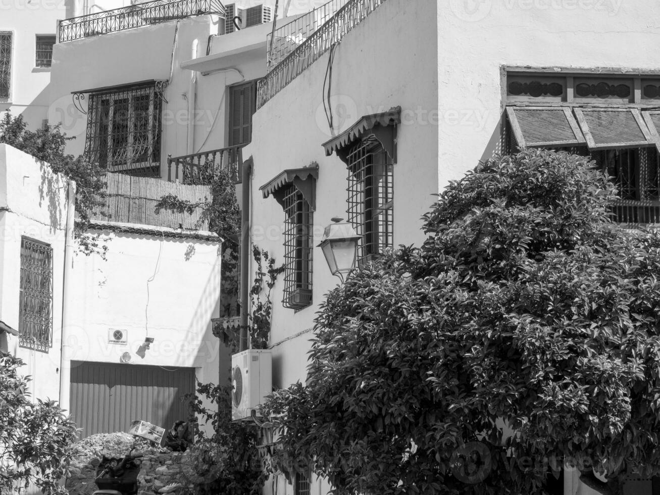the city of Tunis in tunisia photo