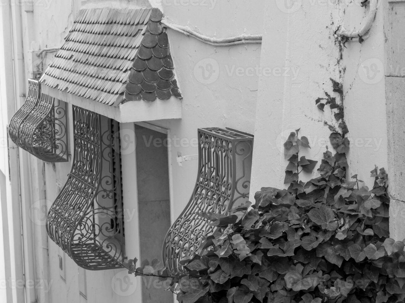 the city of Tunis in tunisia photo