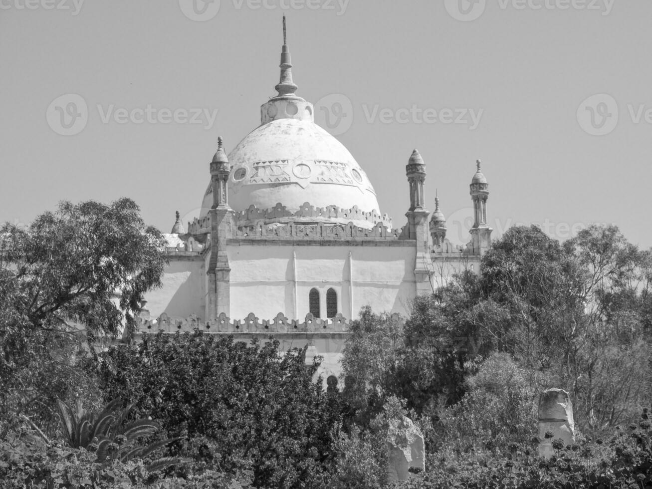 tunis city in tunisia photo