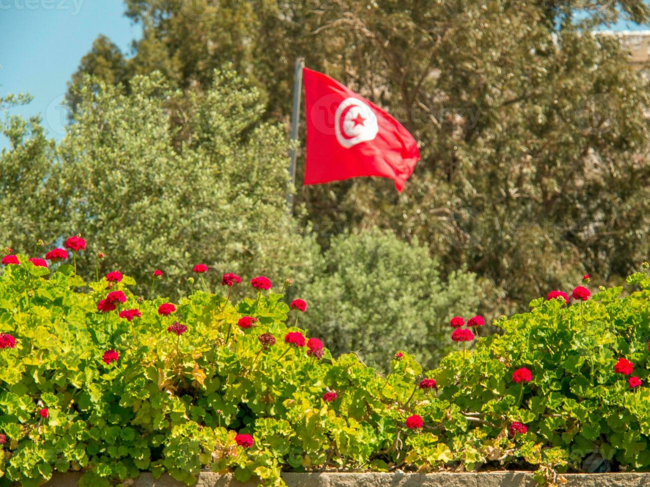 the city of Tunis photo