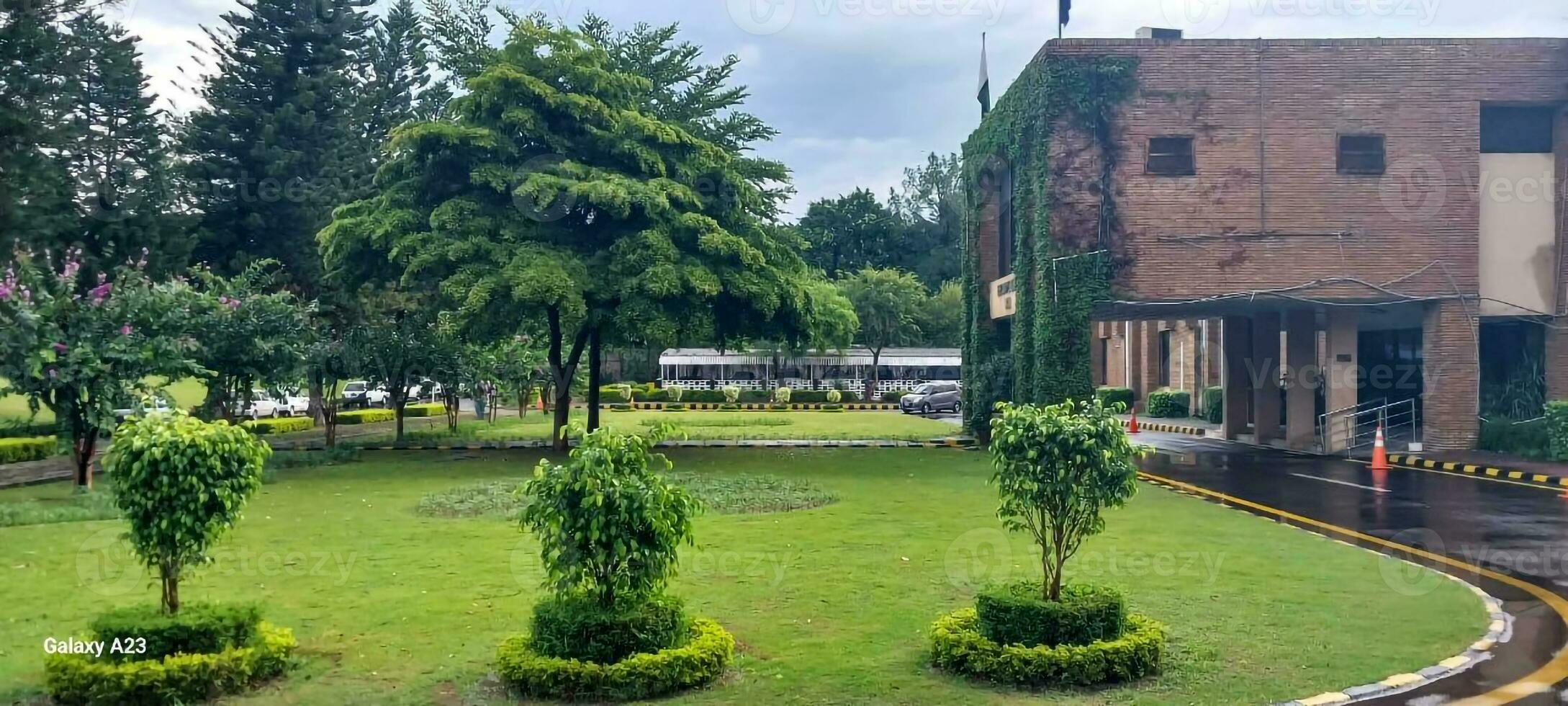 the lawn in front of a building with trees and bushes photo