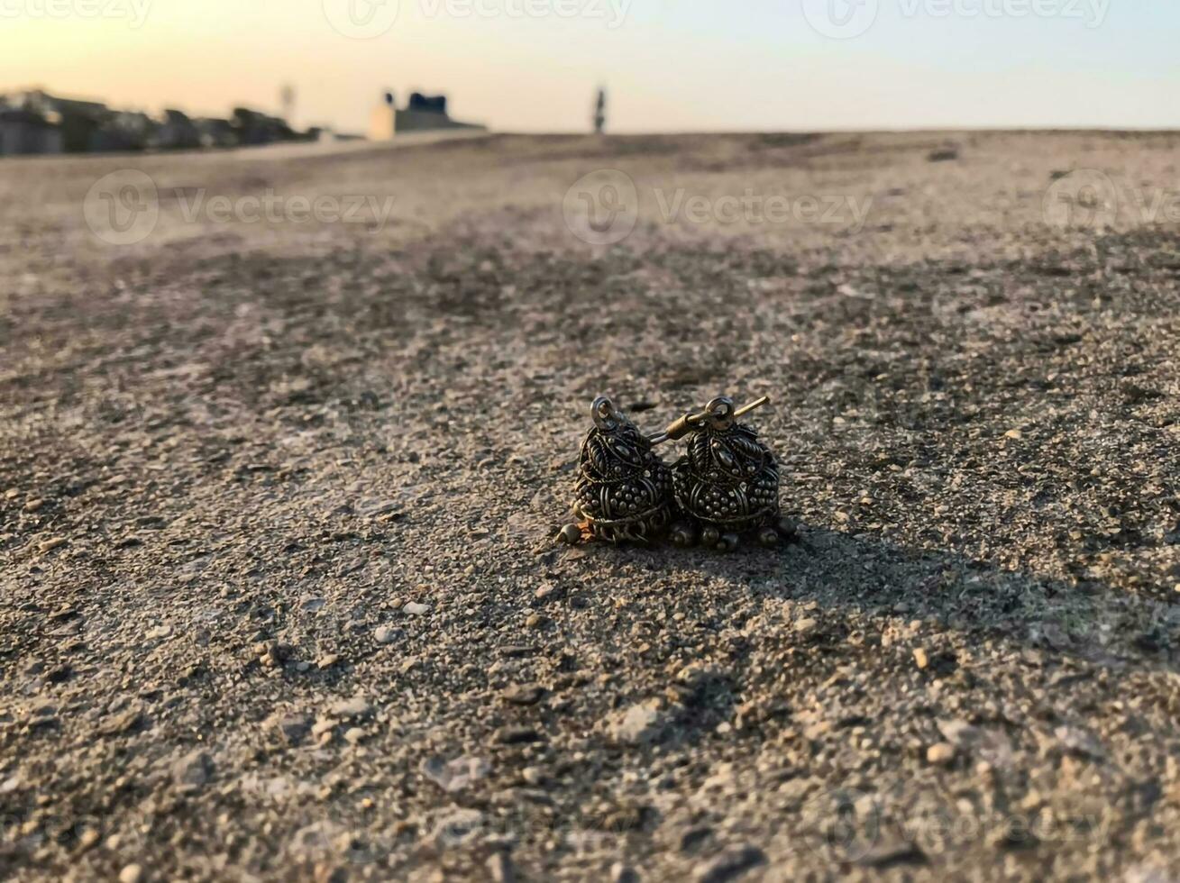 two birds sitting on the ground in a desert photo