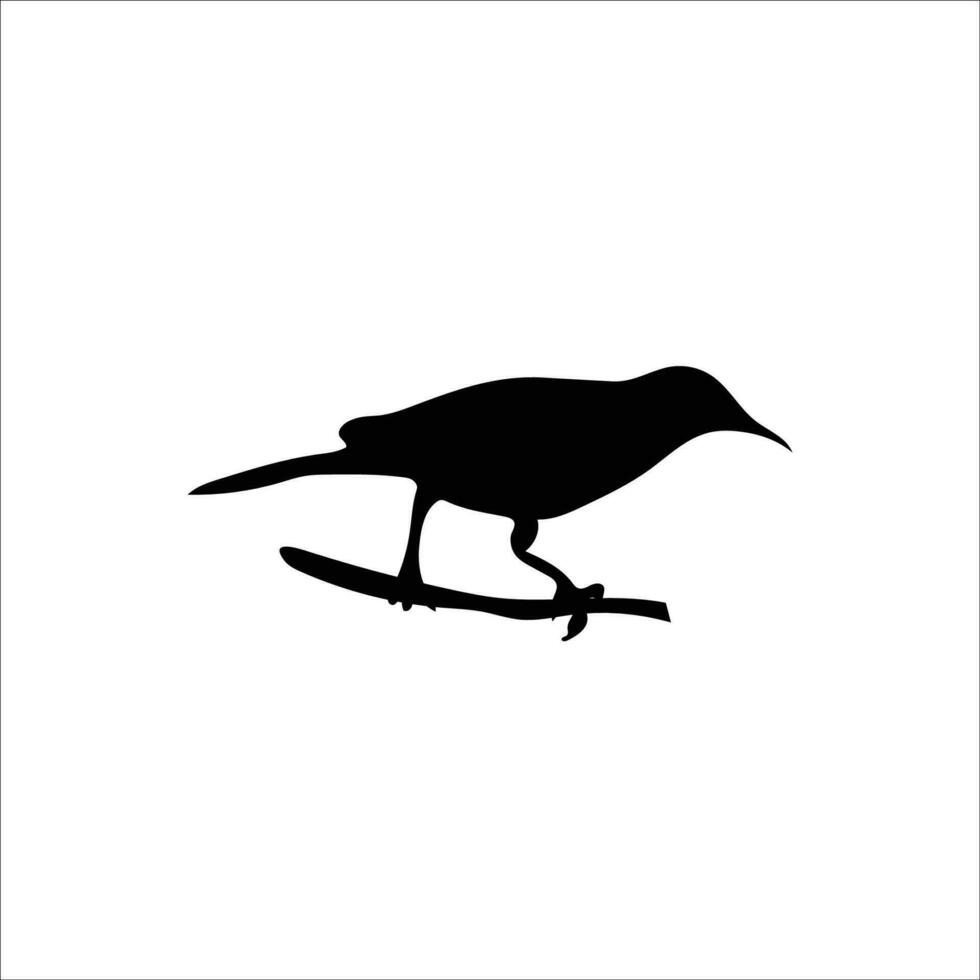 pájaro silueta valores vector ilustración