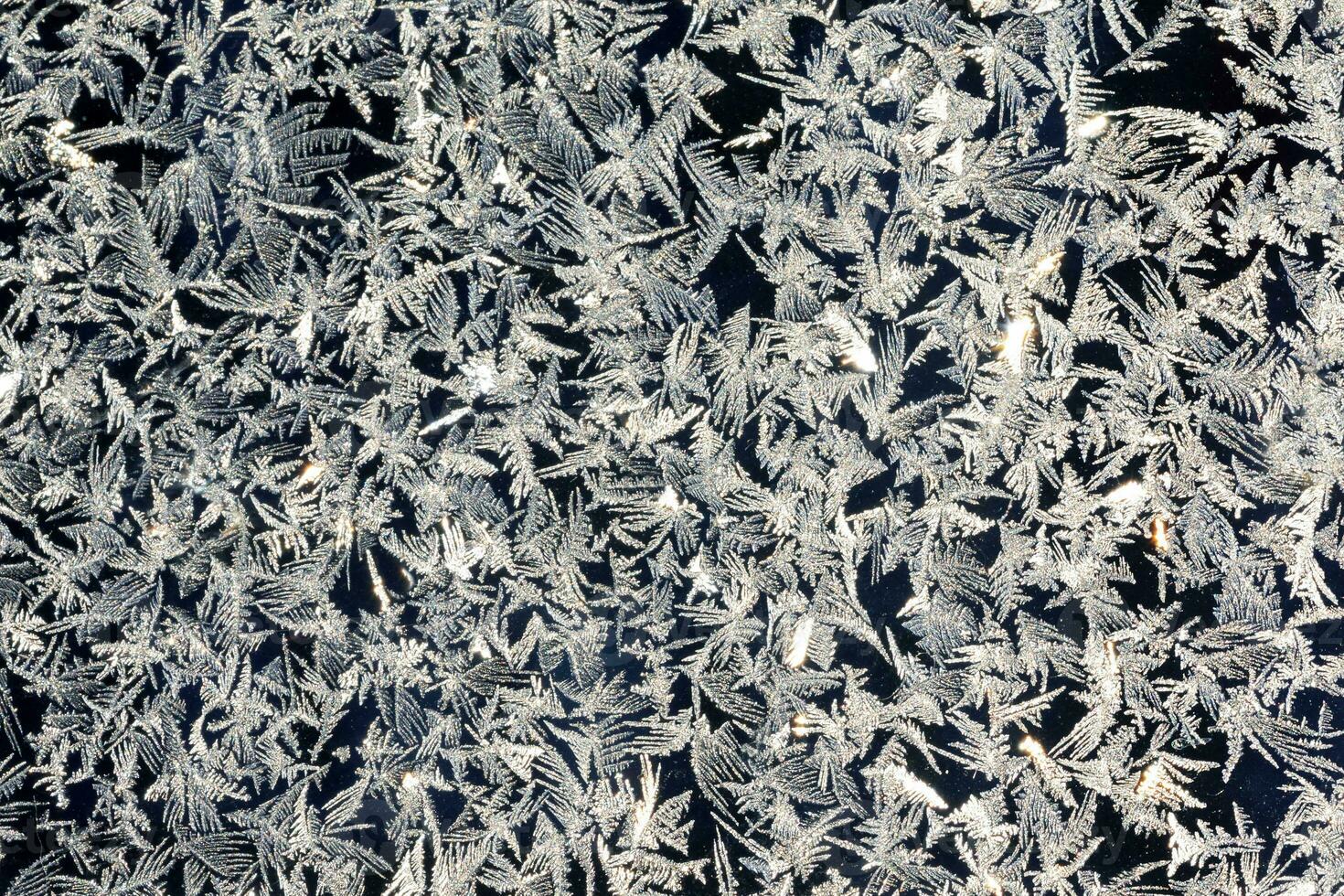 frosty patterns on the window frosty background Ice on a window black white photo