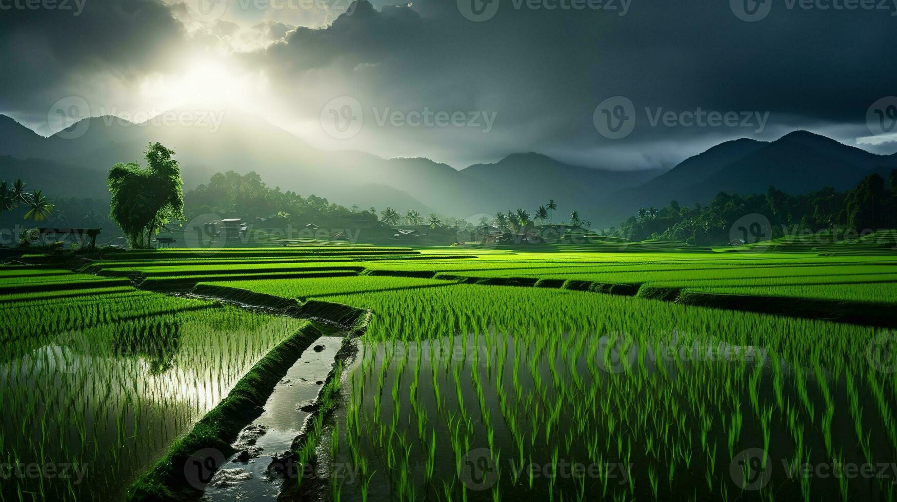 ai generado verde arroz campos en el lluvioso temporada hermosa natural paisaje foto