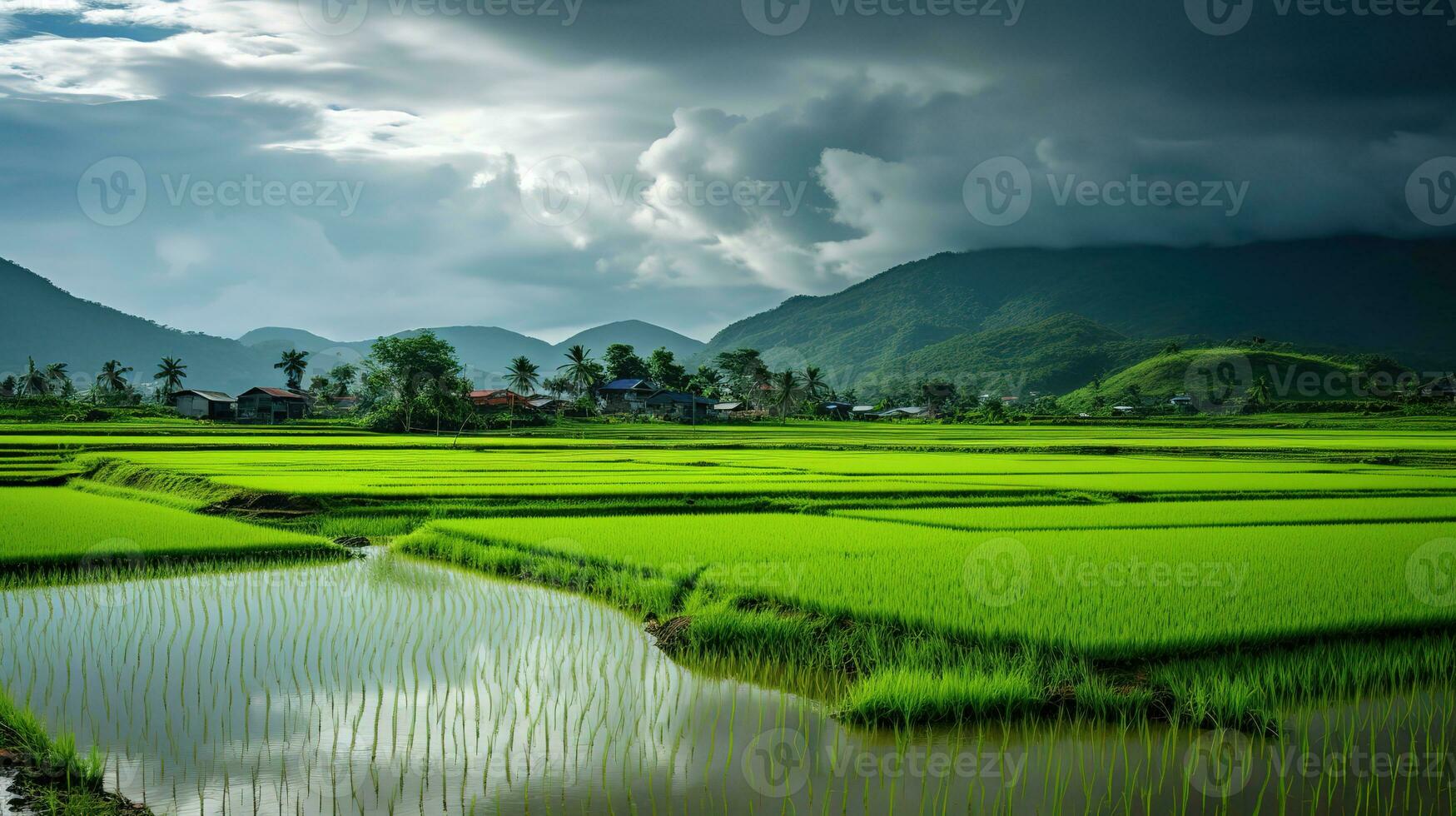 AI generated Green rice fields in the rainy season beautiful natural scenery photo