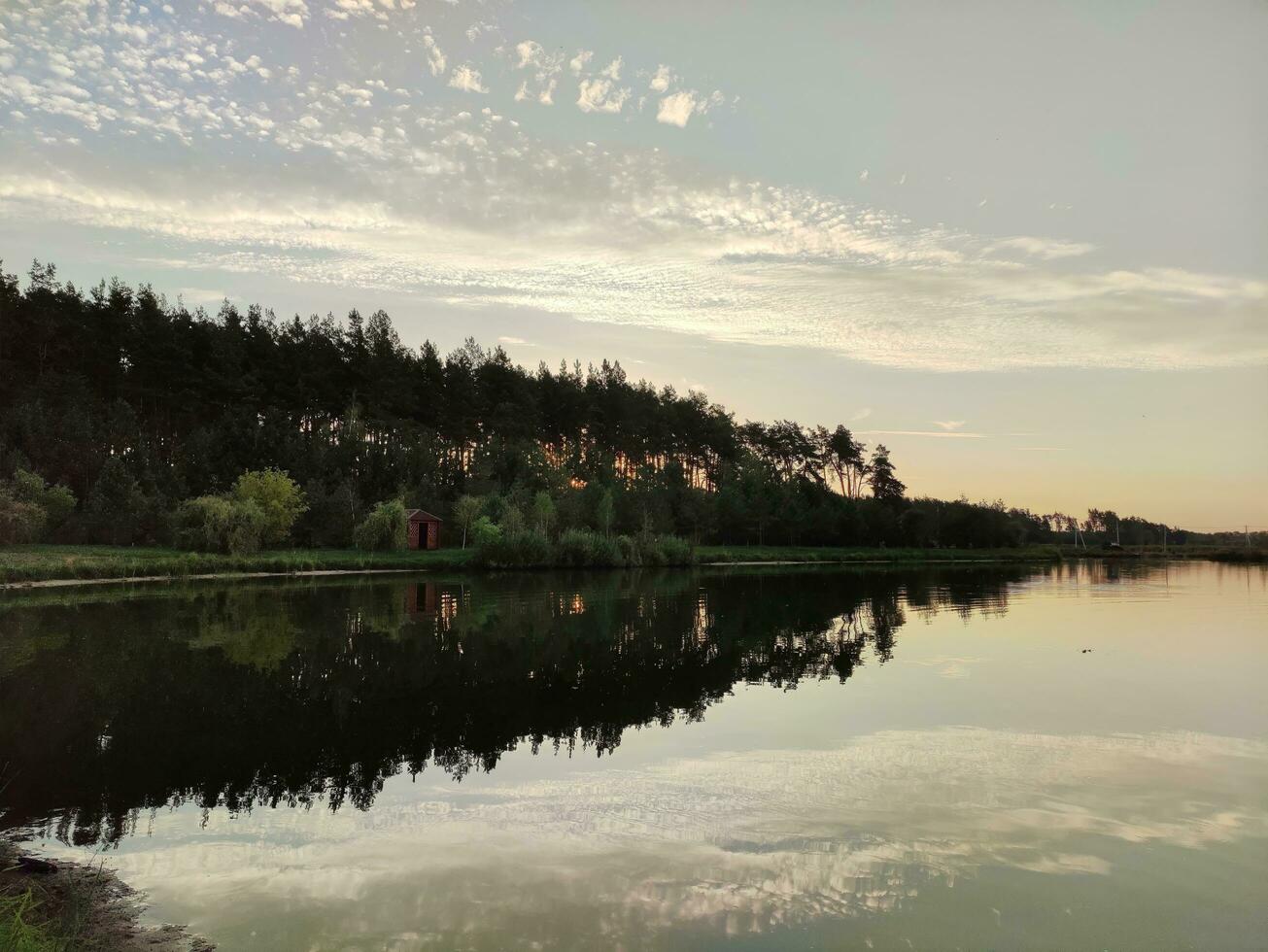 Lake and forest in sunset, picturesque wallpaper photo