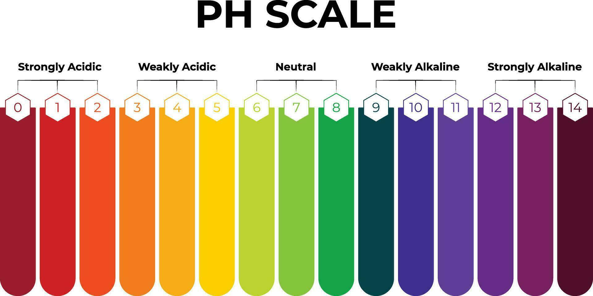 PH Scale Science Design Vector Illustration