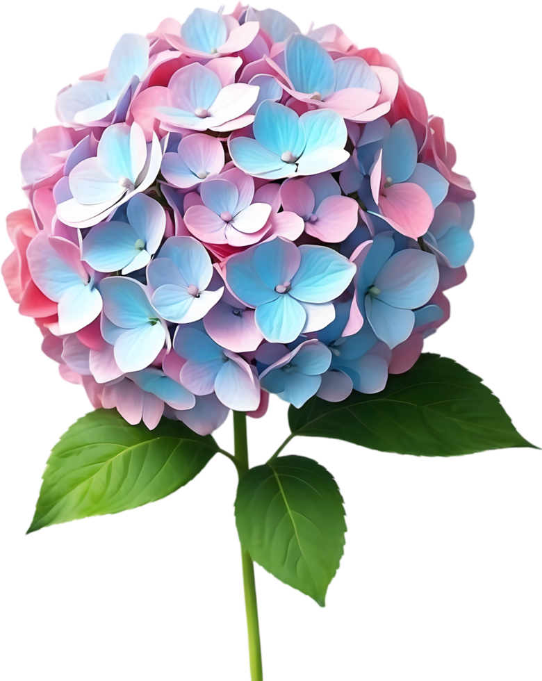 AI generated blue hydrangea flower png download