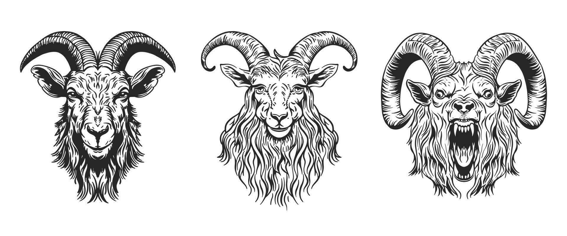 A set of illustrations of farm animals. A hand-drawn goat. Retro style engraving. An aggressive goat vector