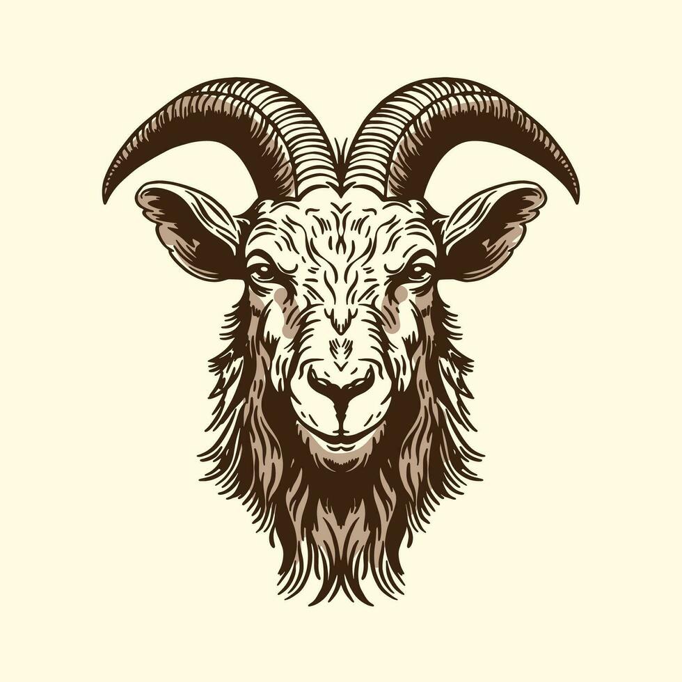 A hand-drawn goat. Retro style engraving. A farm animal in the line style. vector