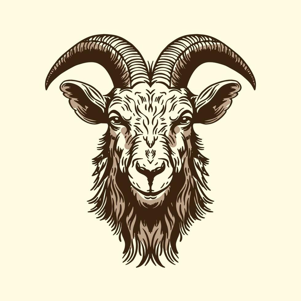 A hand-drawn goat. Retro style engraving. A farm animal in the line style. vector