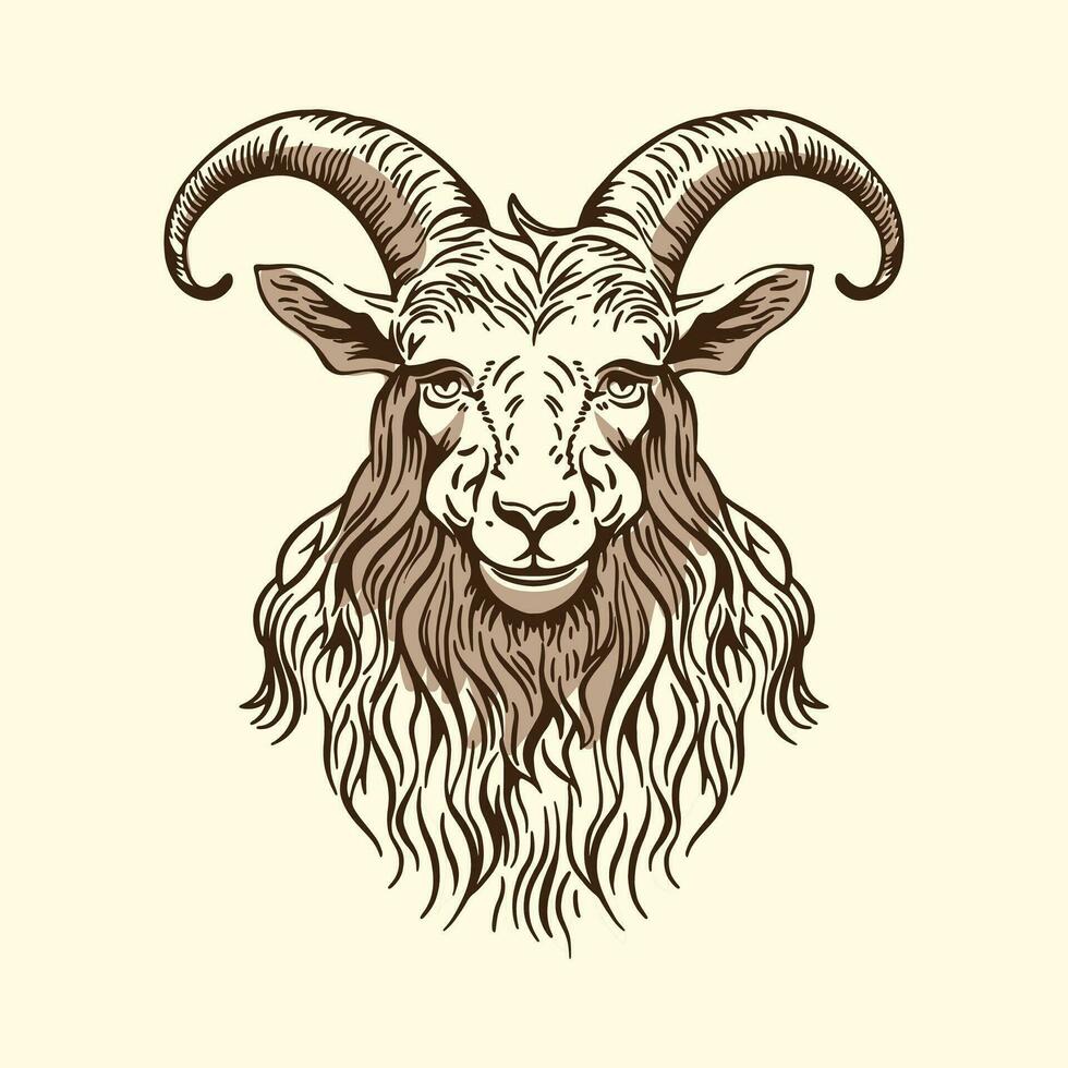 A hand-drawn goat. Retro style engraving. A farm animal in the line style. vector