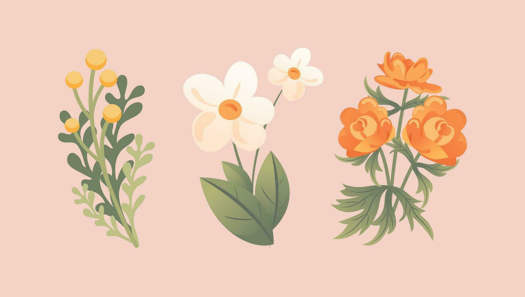 Set of delicate spring wildflowers. Trollius, immortelle, chamomile. In cartoon style for stickers, posters, postcards, design elements vector