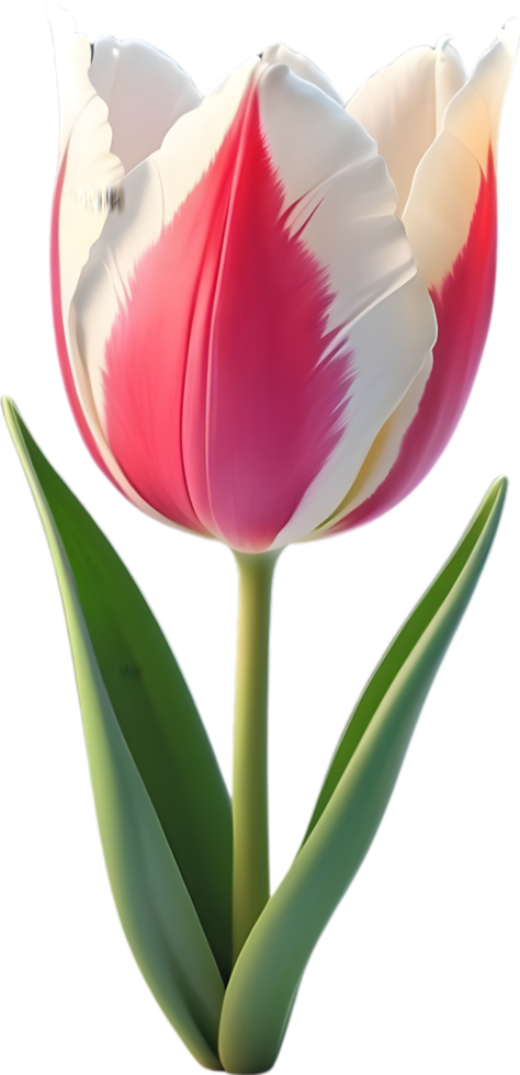 ai gegenereerd een tulp bloem PNG