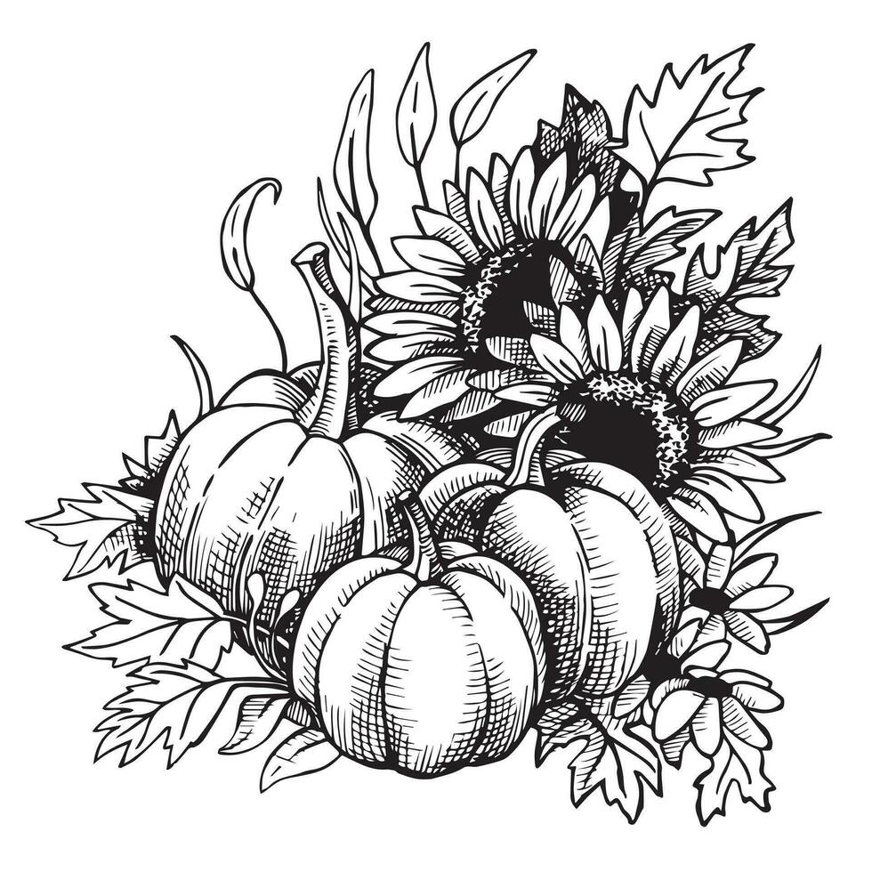 autumn composition of pumpkins and sunflower flowers for Thanksgiving, line art in sketch style, engraving. vector black and white illustration