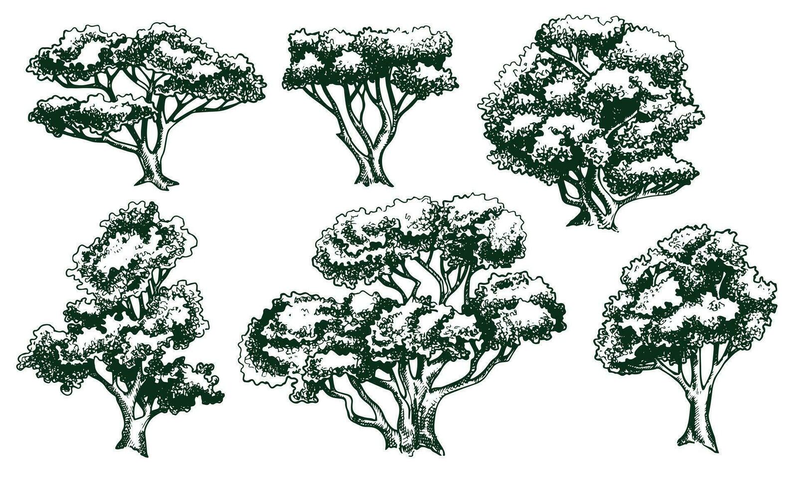 vector dibujo conjunto de arboles en grabado estilo. Clásico árbol ilustración, negro y blanco bosquejo