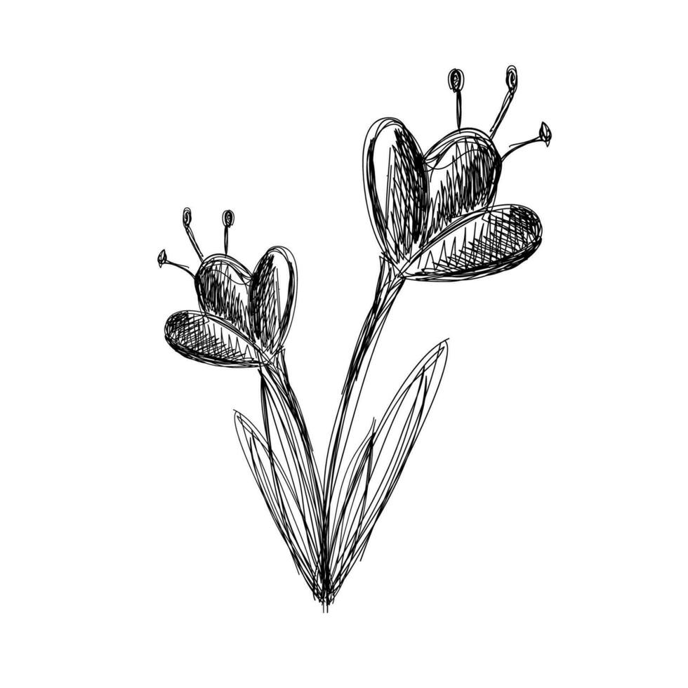 The flower is a black and white sketch. Vector