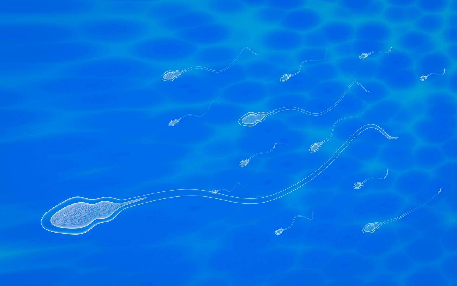The sperm fertility from men's cum is directed towards the egg bubble after sex. To do human mating. A pre-fertilization model between an egg and a sperm. 3D Rendering photo