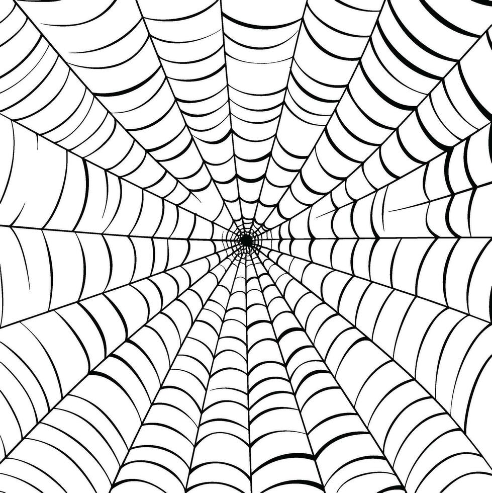 vector contorno ilustración de un sencillo lujoso Víspera de Todos los Santos araña web, aislado objeto en el blanco fondo, clipart útil para Víspera de Todos los Santos fiesta decoración, mano dibujado imagen. ai generado ilustración.