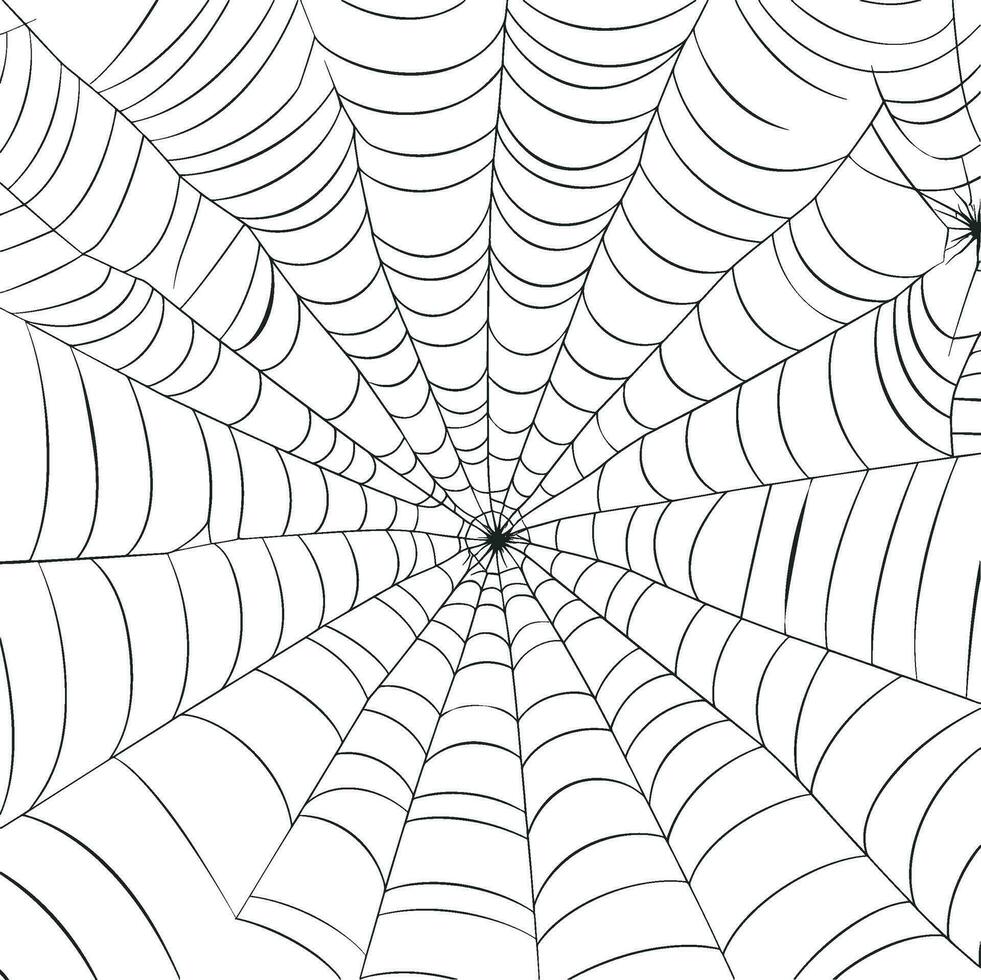 Vector outline illustration of a simple fancy Halloween spider web, isolated object on the white background, clipart useful for halloween party decoration, hand drawn image. AI generated illustration.