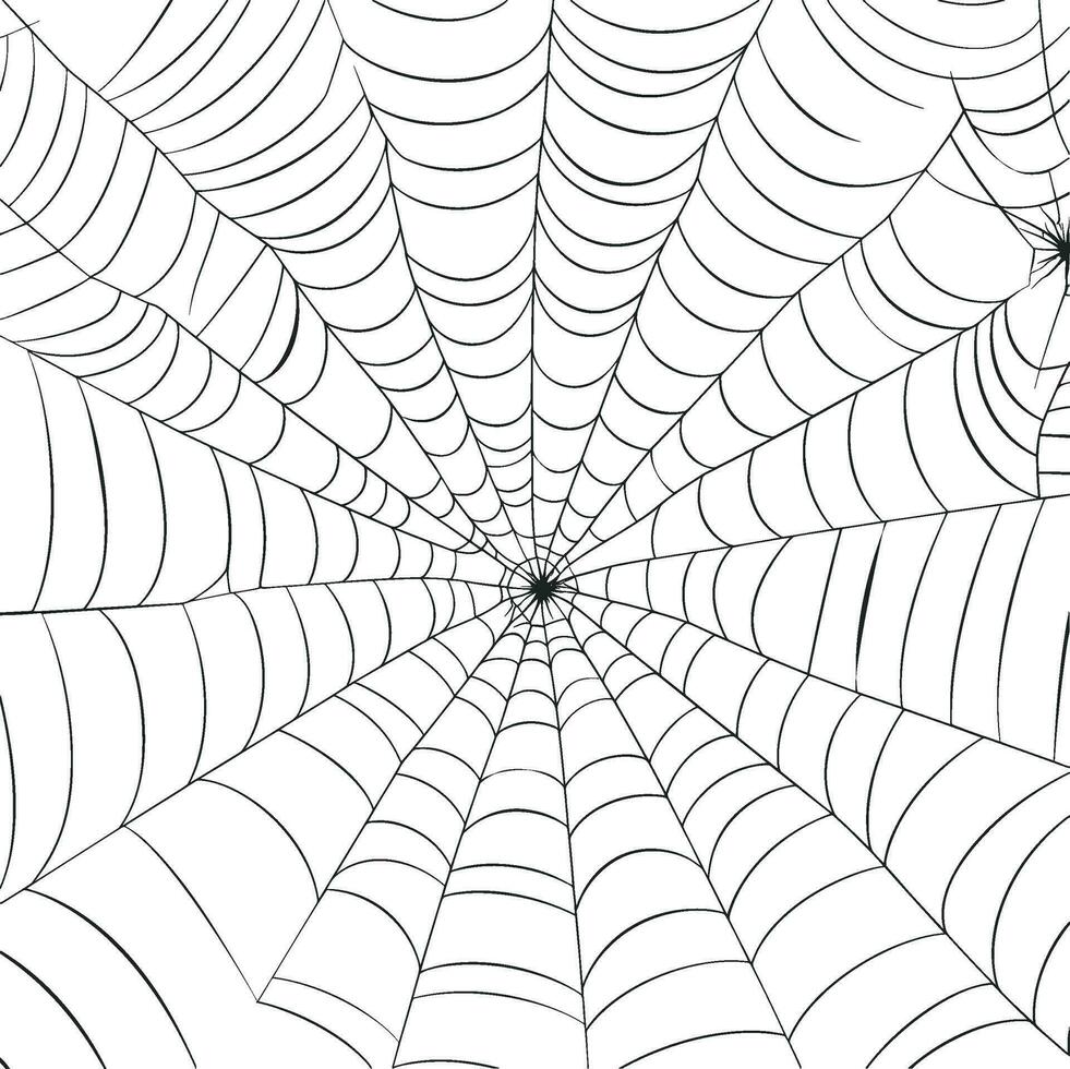 vector contorno ilustración de un sencillo lujoso Víspera de Todos los Santos araña web, aislado objeto en el blanco fondo, clipart útil para Víspera de Todos los Santos fiesta decoración, mano dibujado imagen. ai generado ilustración.