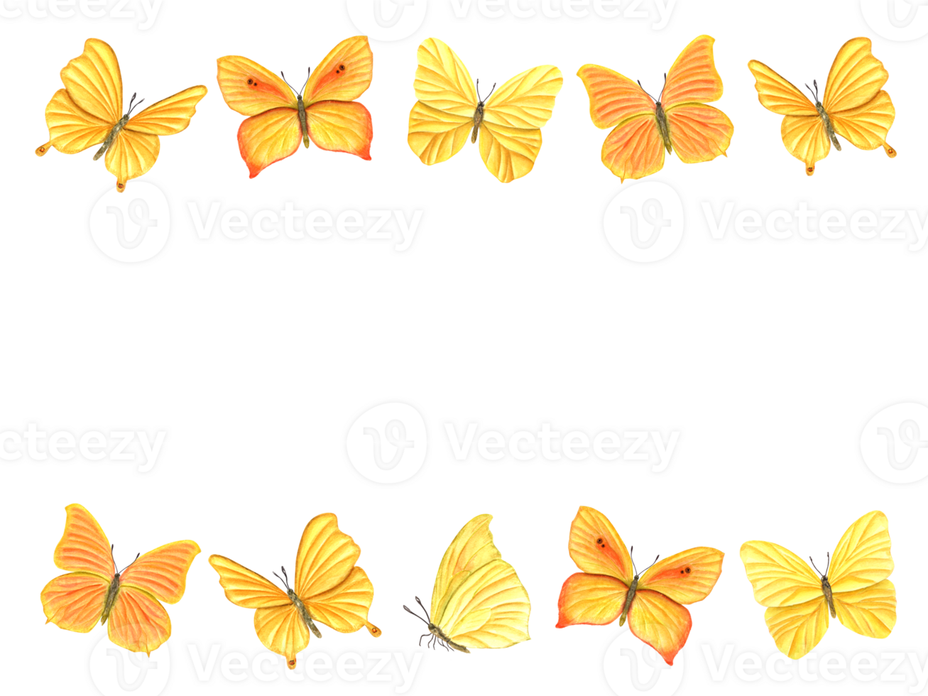 horizontaal kader van geel oranje vlinders. fladderend lepidoptera, tropisch vliegend insecten. png