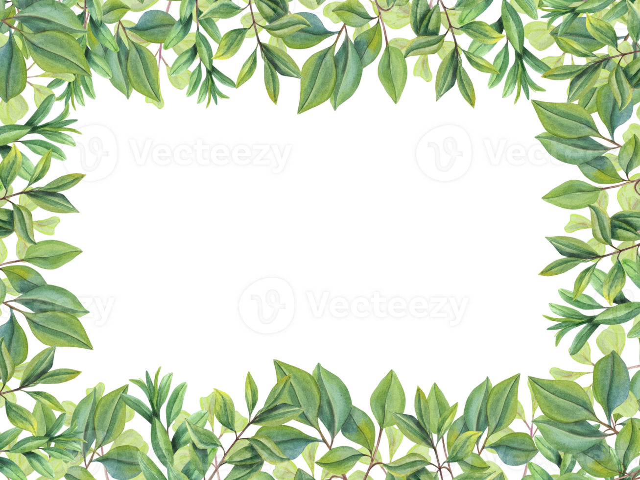 abstract groen bladeren. horizontaal kader met takken, groen planten. thee bladeren. kruiden samenstelling met ruimte voor tekst. illustratie voor valentijnsdag dag, verjaardag, moeders dag, bruiloft uitnodiging. png