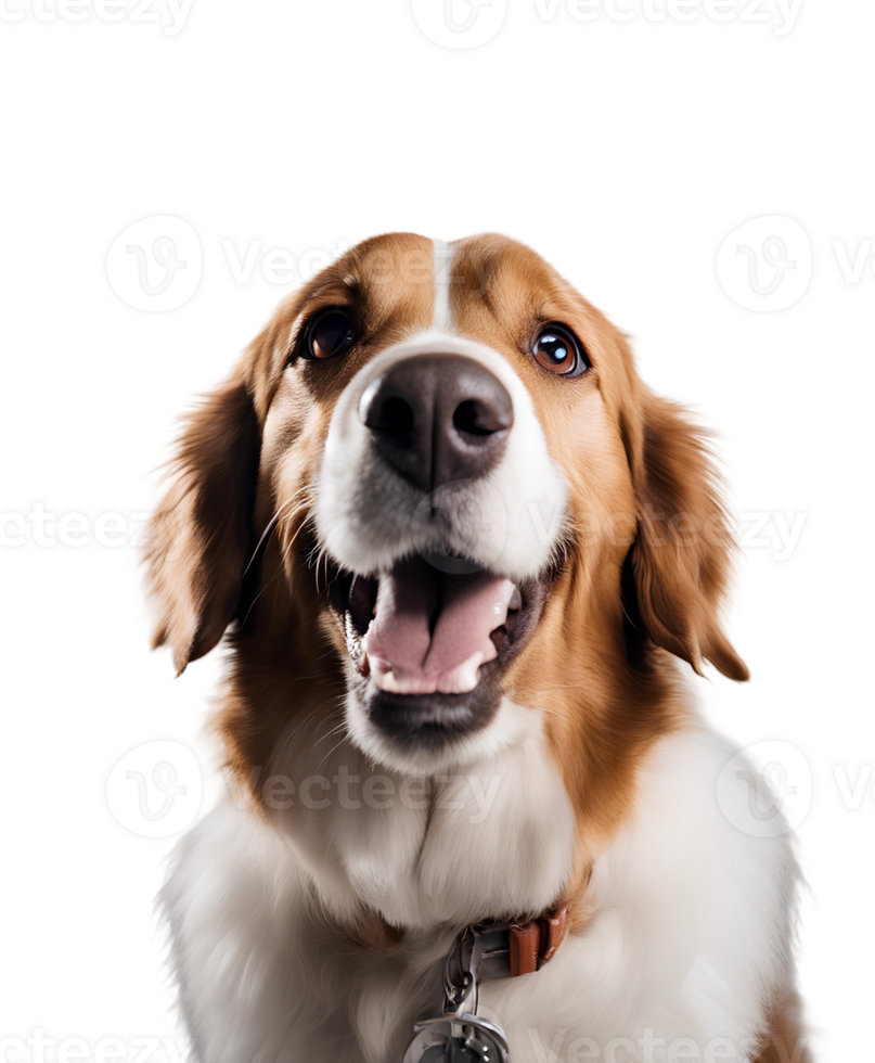AI generated Happy Dog Strike a Pose png