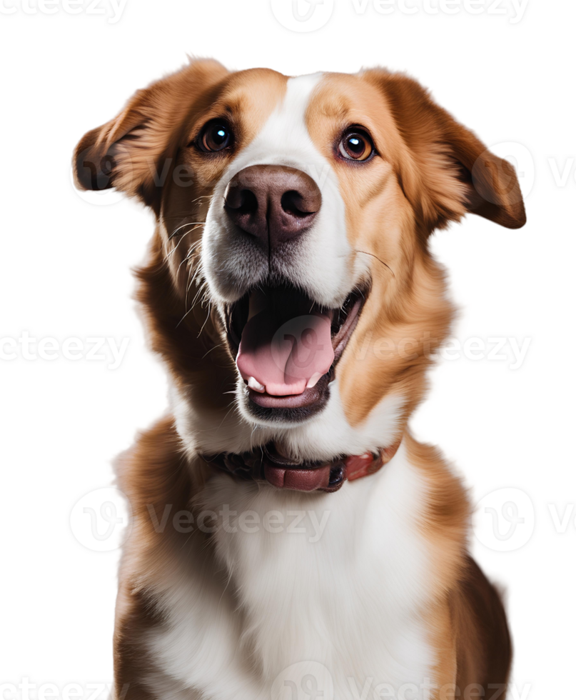 ai generiert glücklich Hund Streik ein Pose png