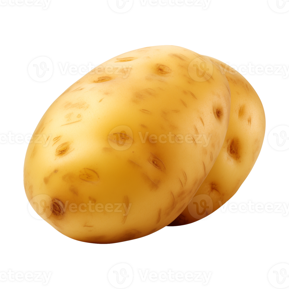 AI generated fresh raw potato vegetable isolated on a transparent background, PNG