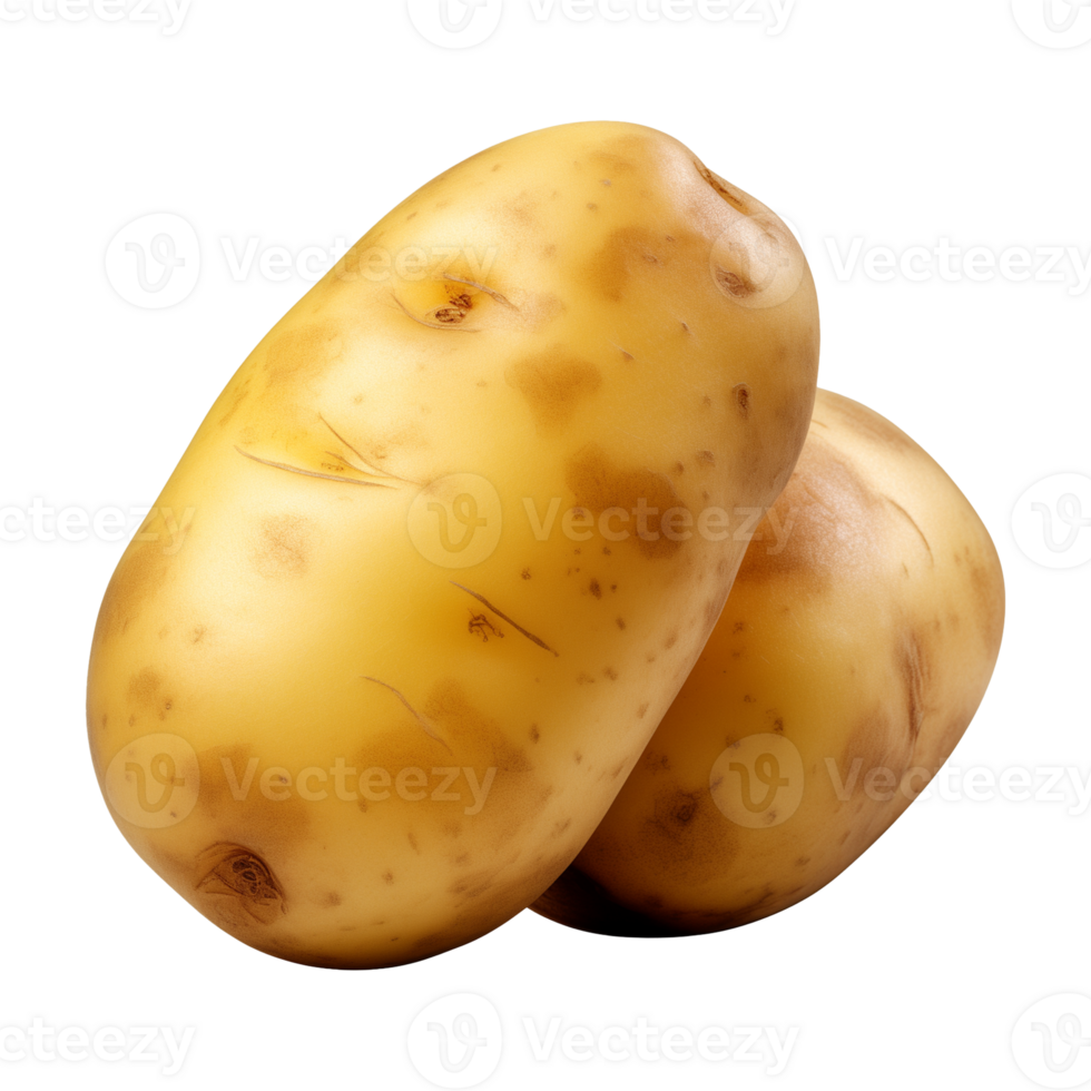 AI generated fresh raw potato vegetable isolated on a transparent background, PNG