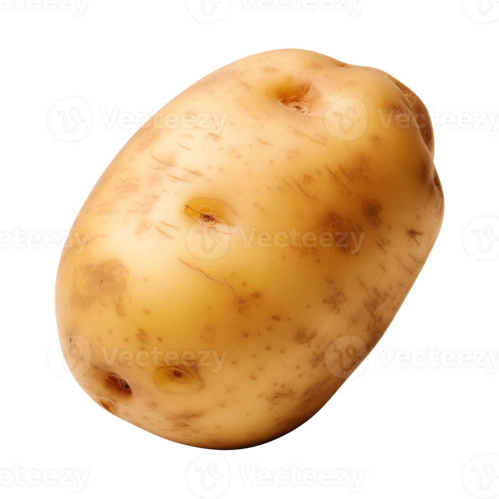 AI generated fresh raw potato vegetable isolated on a transparent background, PNG