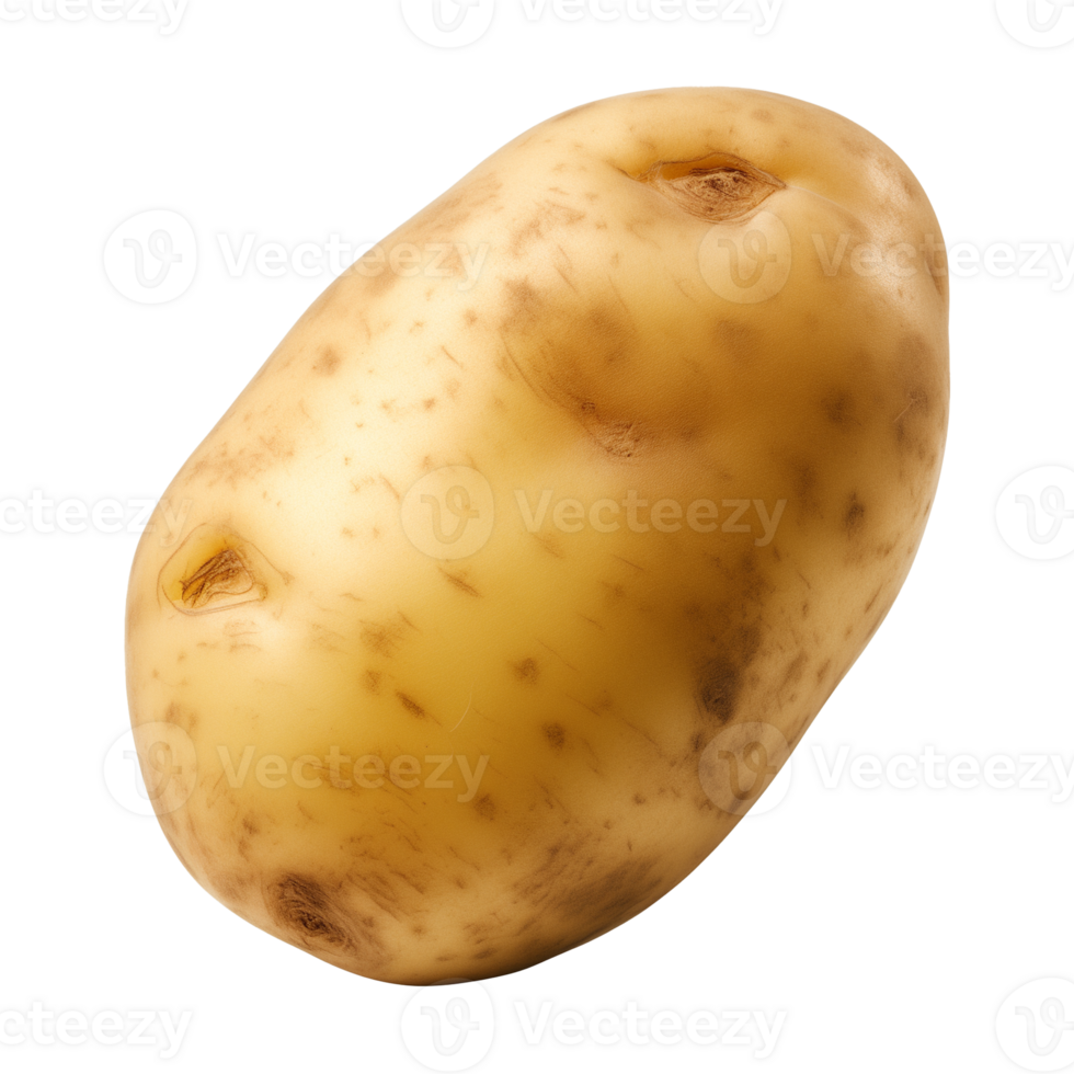 AI generated fresh raw potato vegetable isolated on a transparent background, PNG