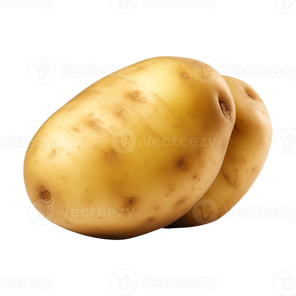 ai gegenereerd vers rauw aardappel groente geïsoleerd Aan een transparant achtergrond, PNG