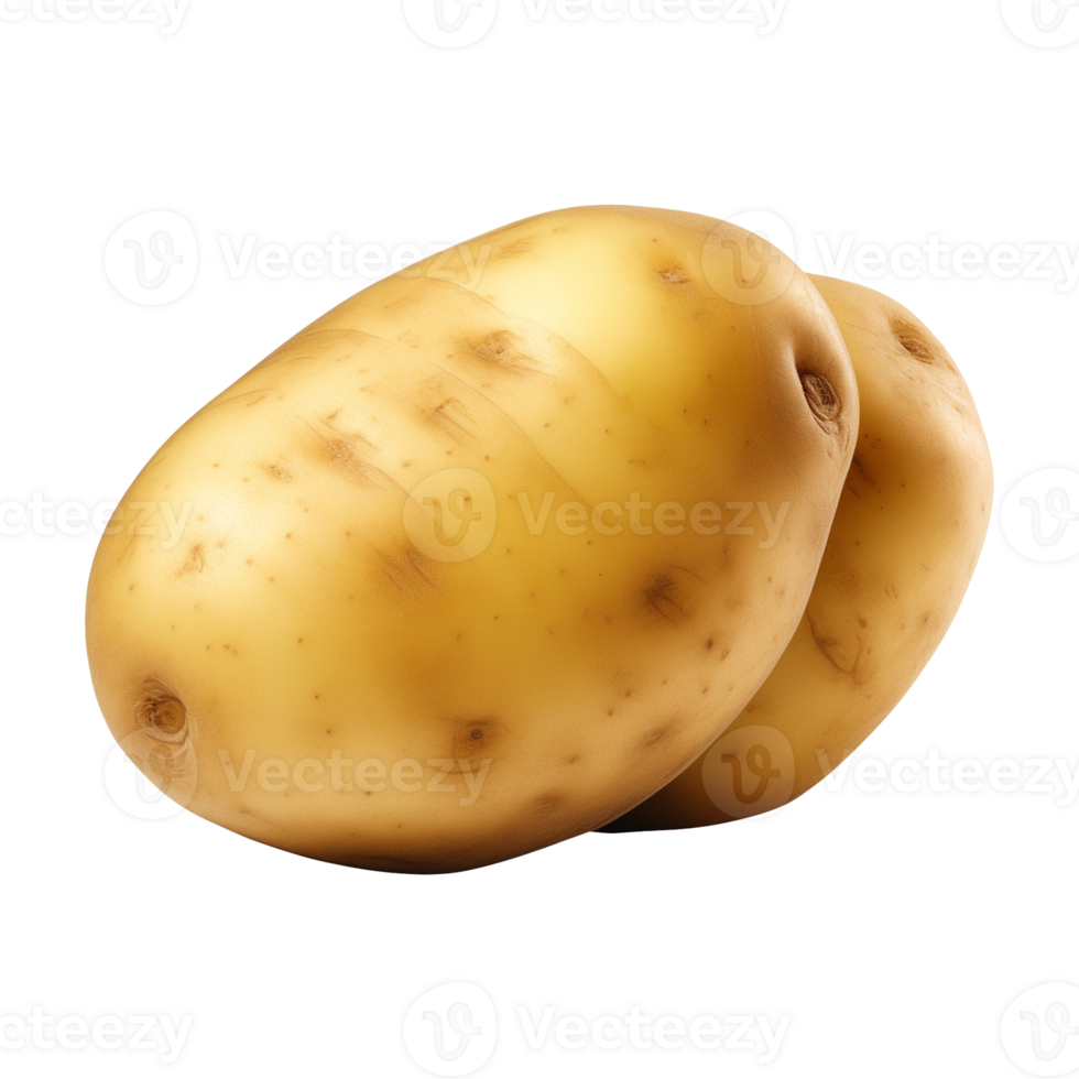 AI generated fresh raw potato vegetable isolated on a transparent background, PNG