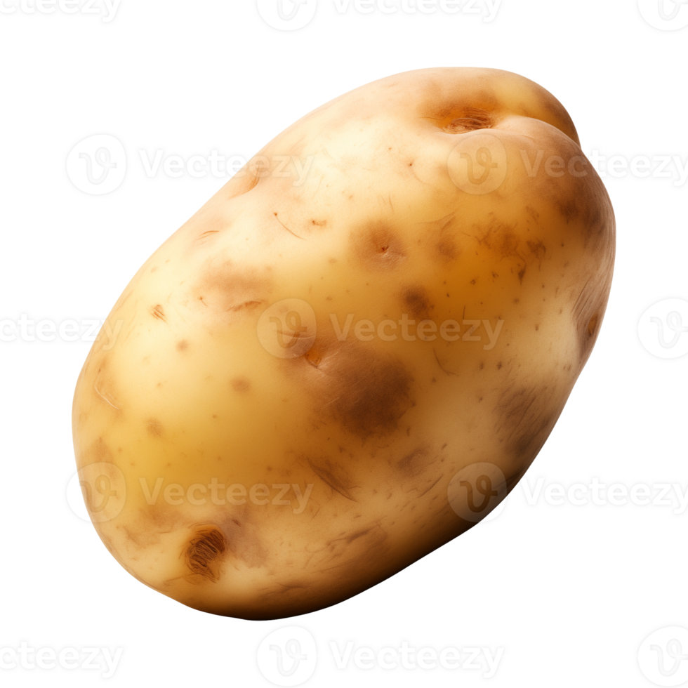 AI generated fresh raw potato vegetable isolated on a transparent background, PNG